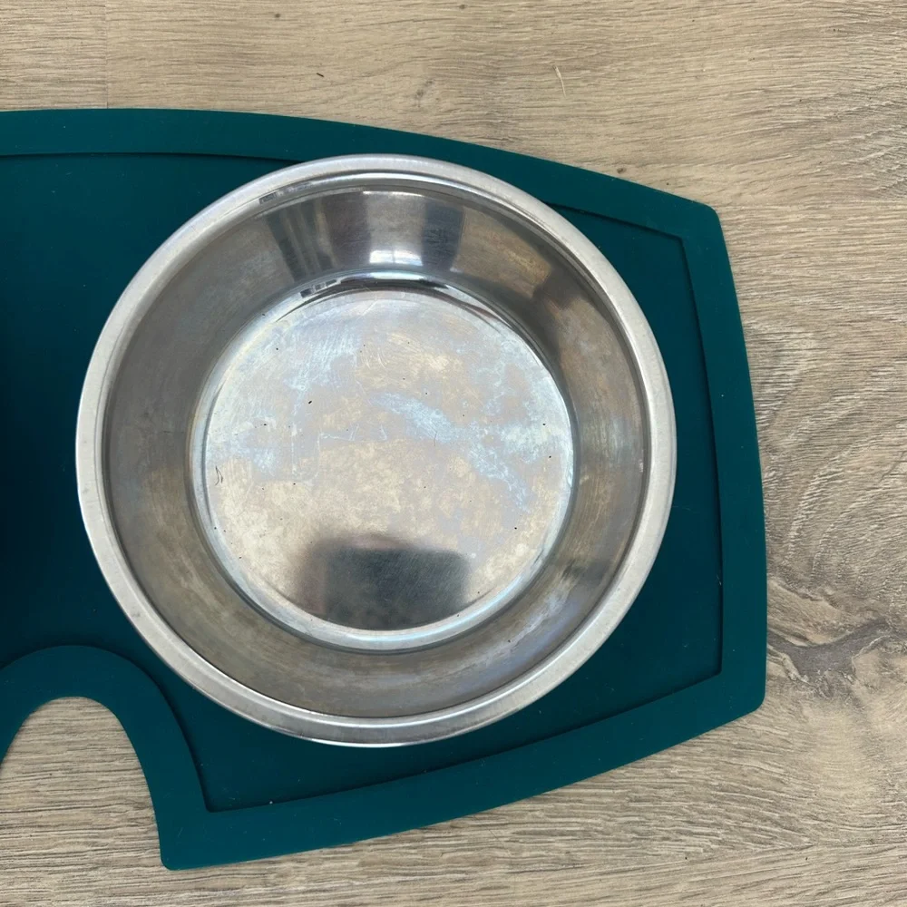 PETCO Every Yay Teal Silicone Double Puppy Stainless Steel Bowls